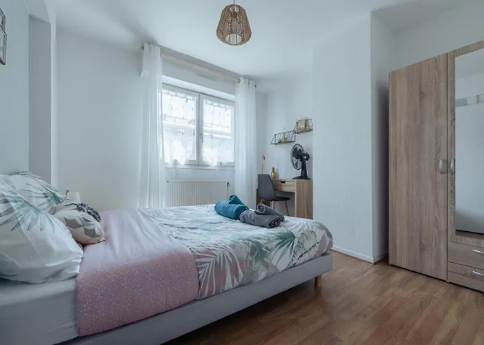 Le Stanislas 61 - Spacieux & Cosy 南锡